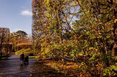Jesienny Park Oliwski