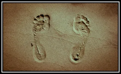 my feet