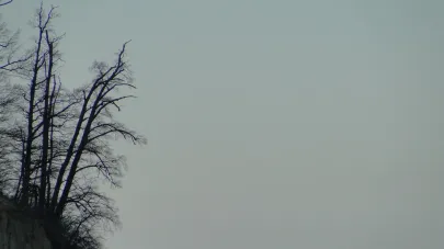 Orłowo