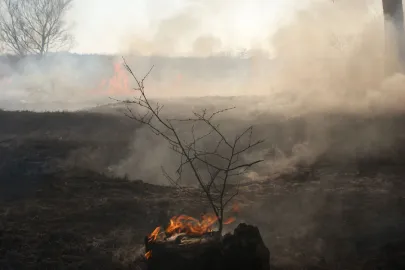 24.03.2012
