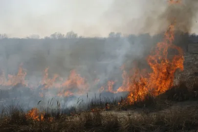 24.03.2012