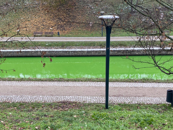 Zielona woda