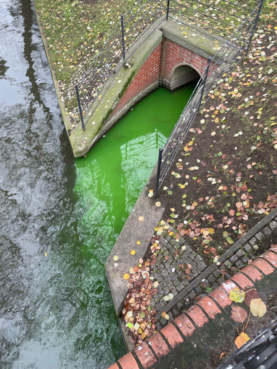 Zielona woda w kanale Raduni