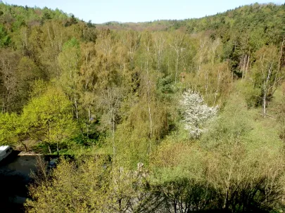 WIOSENNY WIDOK Z OKNA