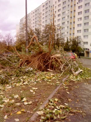 Gdańsk Żabianka