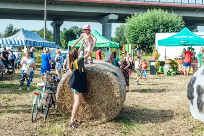 Święto Kapusty, czyli Gdańsk bawi się na dożynkach