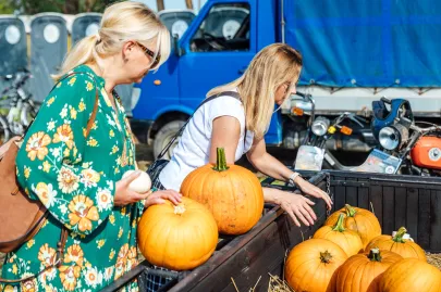 Święto Kapusty, czyli Gdańsk bawi się na dożynkach
