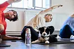 Puppy Yoga: joga ze szczeniakami