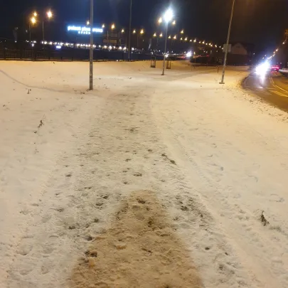 Lodowisko na Letnicy