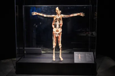 Wystawa Body Words na Amber Expo