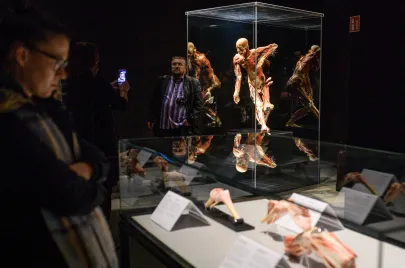Wystawa Body Words na Amber Expo