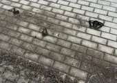 Dziura na Wilanowskiej