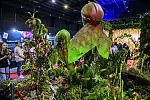 PlantPorn - festiwal roślin w Amber Expo