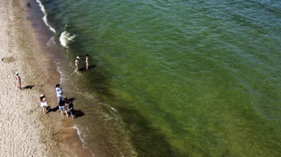 Na plaży w Brzeźnie zakwitły sinice