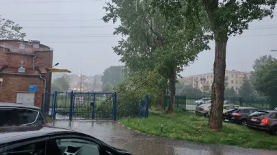 Przewalone drzewo na parking na Zaspie
