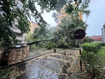 Gdynia główna