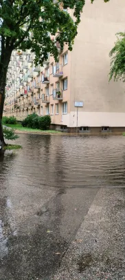 Gospody pływa