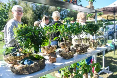Dary Ziemi 2024 w Parku Kolibki Gdynia Orłowo