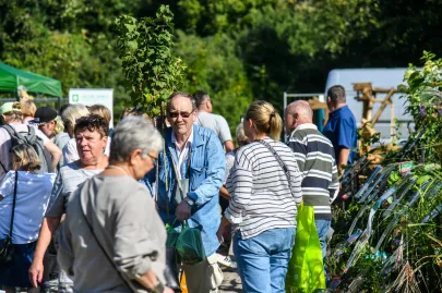 Dary Ziemi 2024 w Parku Kolibki Gdynia Orłowo