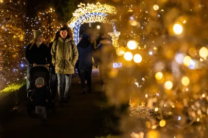 Iluminacje w Parku Oliwskim