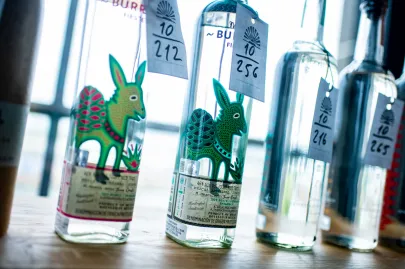 Festiwal tequili w Plenum w Gdańsku