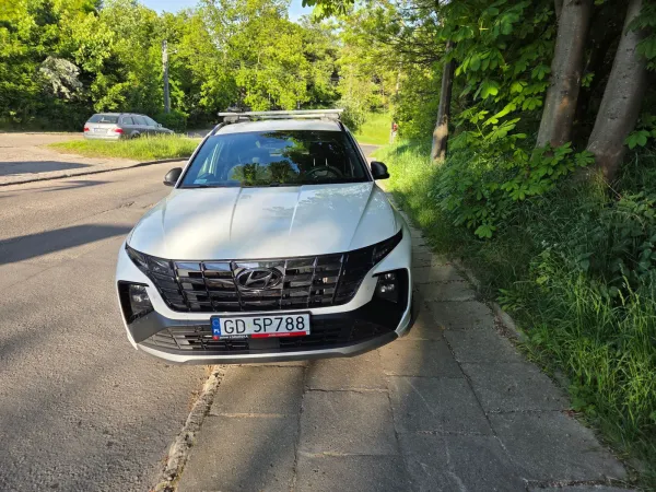 Na takiego łosia