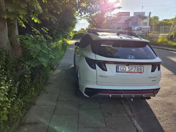 Na takiego łosia