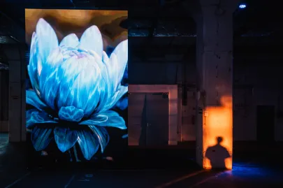 Plenum digital - 3d art exhibition