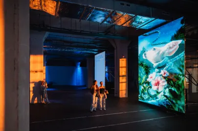 Plenum digital - 3d art exhibition