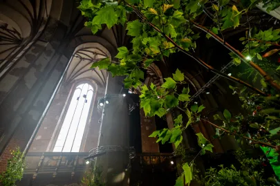 LeŚnia (w Centrum św. Jana)