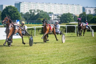Wyścigi Konne Sopot 2025 na Hipodromie w Sopocie