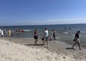 Psy na plażach