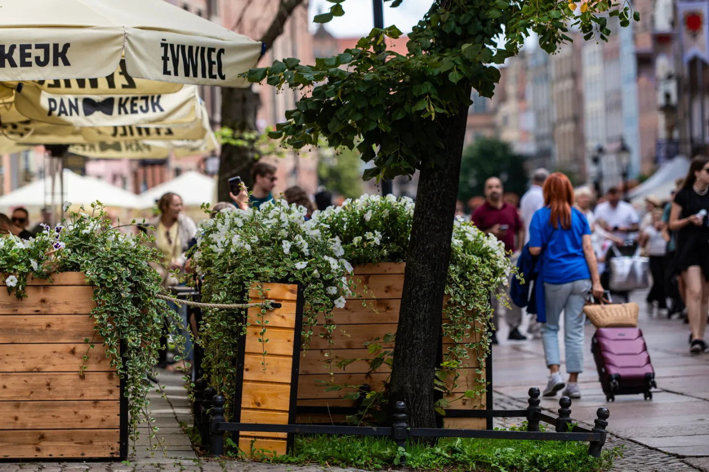 Gdańskie ogródki gastronomiczne pełne kwiatów