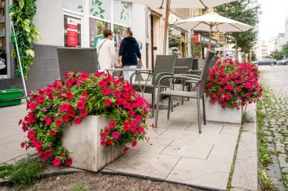 Kwiaty w ogródkach gastronomicznych w Gdyni