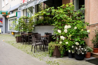 Kwiaty w ogródkach gastronomicznych w Gdyni