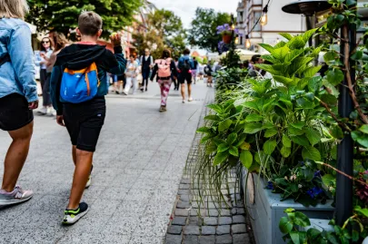 Sopockie ogródki gastronomiczne pełne kwiatów