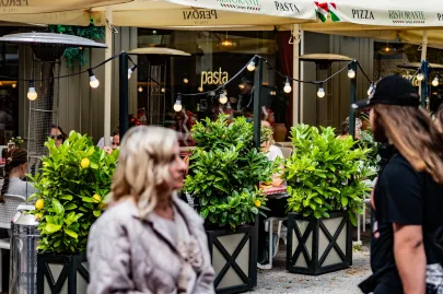 Sopockie ogródki gastronomiczne pełne kwiatów