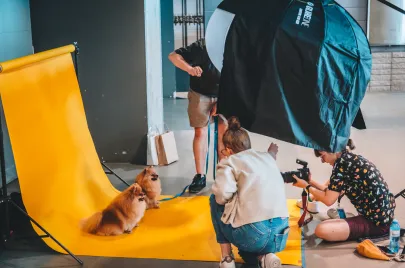 Doggy Day 2025 