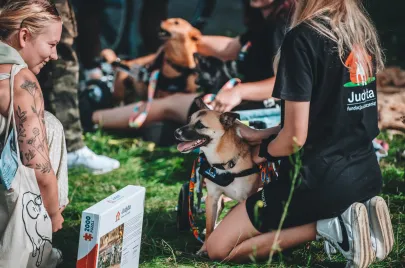 Doggy Day 2025 