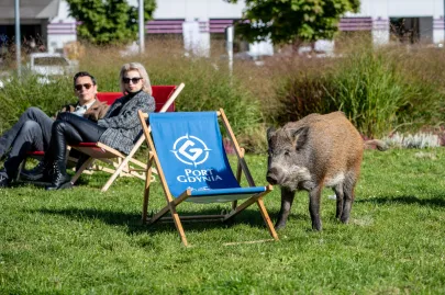 50. Festiwal Polskich Filmów Fabularnych w Gdyni