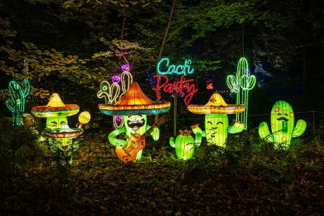 Garden of Lights - Ogród Świateł - Mały Świat w Gdyni