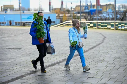 Festiwal Roślin w Trójmieście