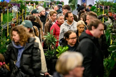 Festiwal Roślin w Trójmieście