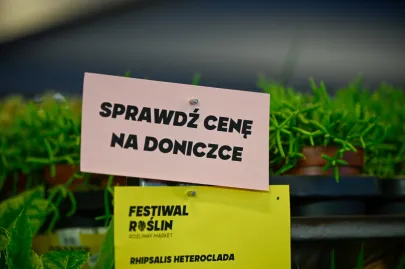 Festiwal Roślin w Trójmieście