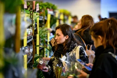 Festiwal Roślin w Trójmieście