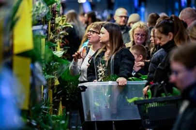 Festiwal Roślin w Trójmieście