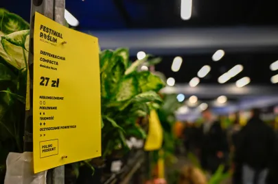 Festiwal Roślin w Trójmieście