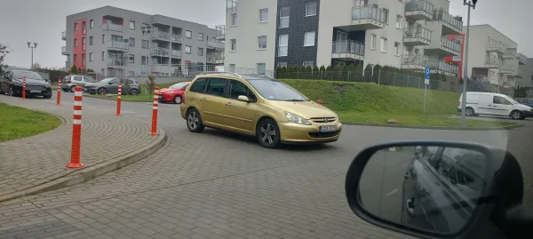 Mistrz parkowania roku 2025