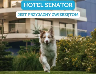 Zdjęcie 1/6 - Hotel Senator**** Dzwirzyno