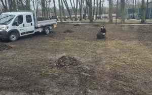 Wiosenne porządki